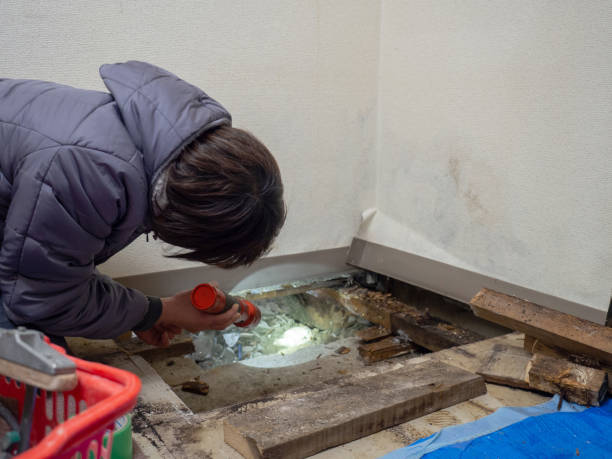 Best Biohazard Mold Removal  in Coatesville, PA